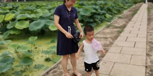 看荷花吃棉花糖