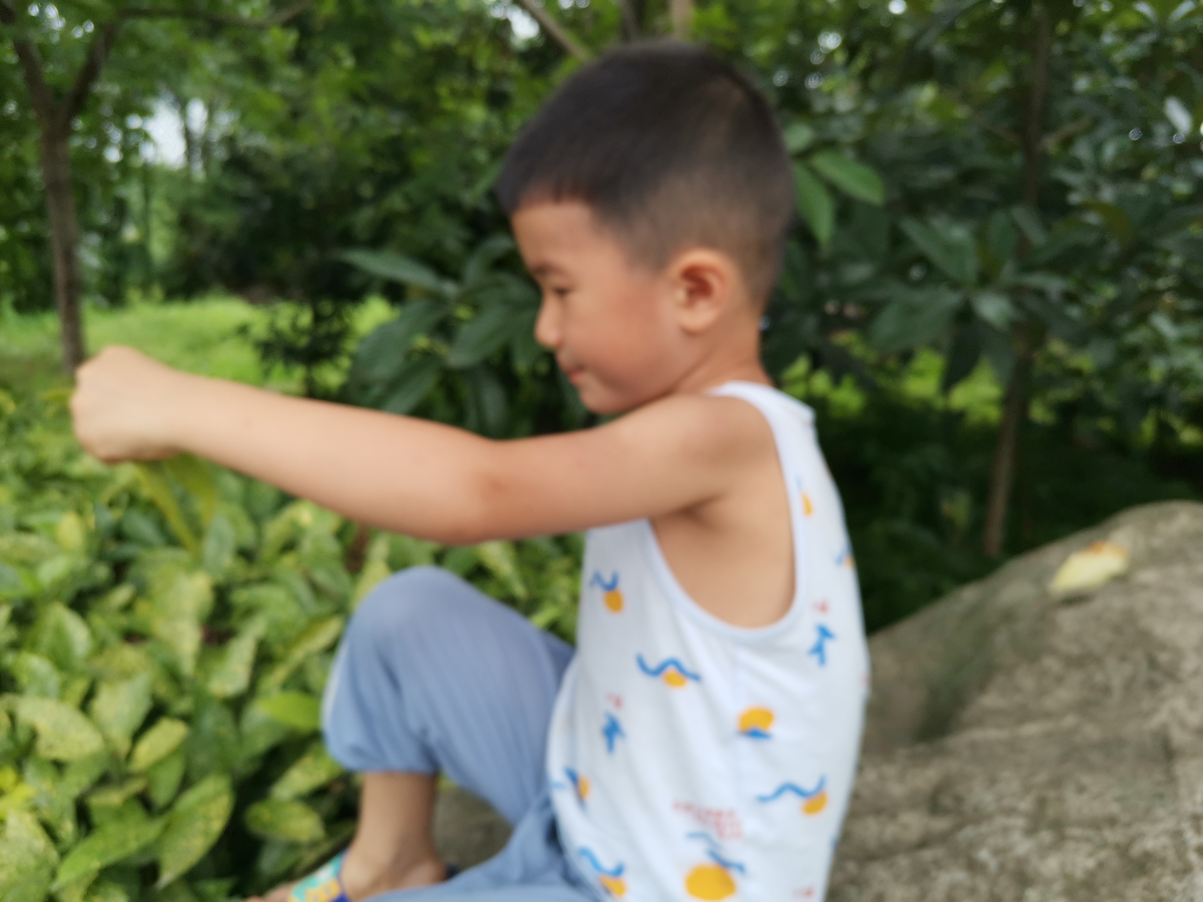 炎炎夏日路旁游玩