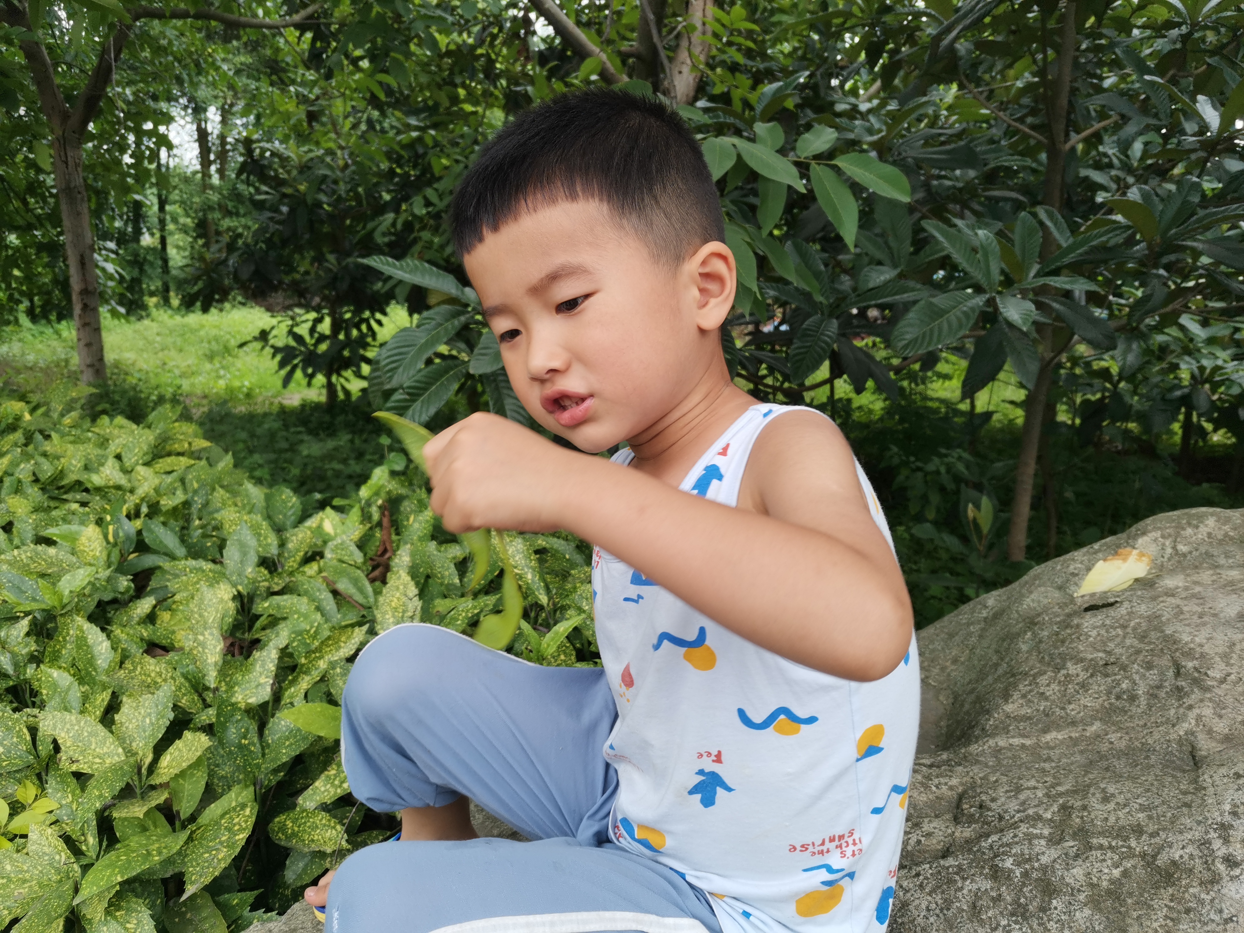 炎炎夏日路旁游玩