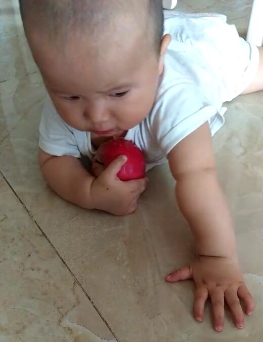 都都趴在地上啃苹果