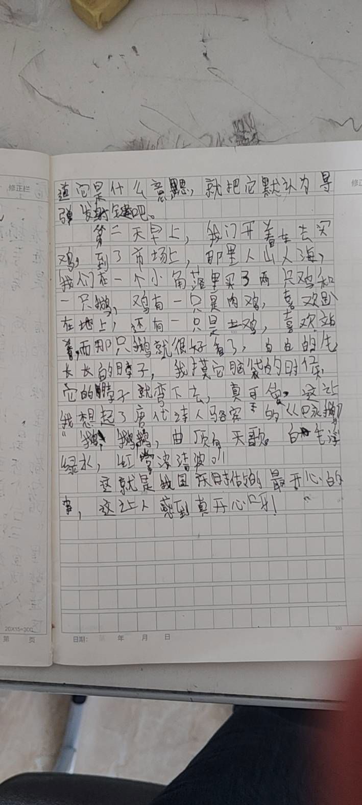 作文第4页